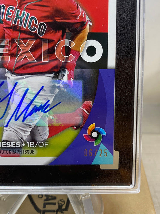 Joey Meneses WBC AUTÓGRAFO