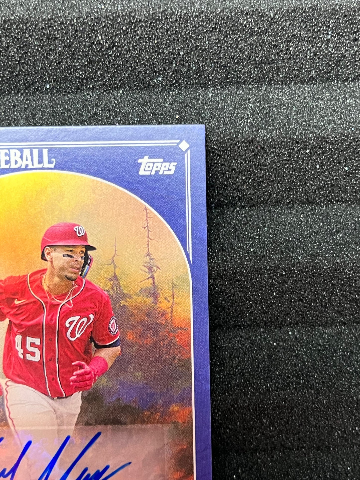 2023 Topps X Bob Ross Joy of Baseball JOEY MENESES Rookie AUTO /50