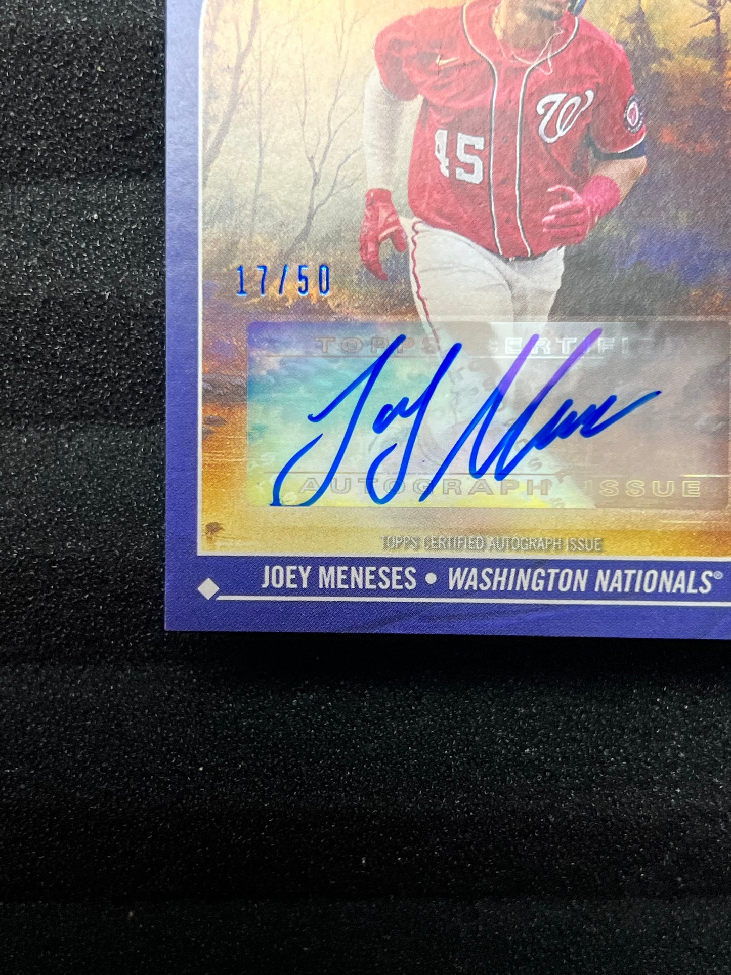 2023 Topps X Bob Ross Joy of Baseball JOEY MENESES Rookie AUTO /50